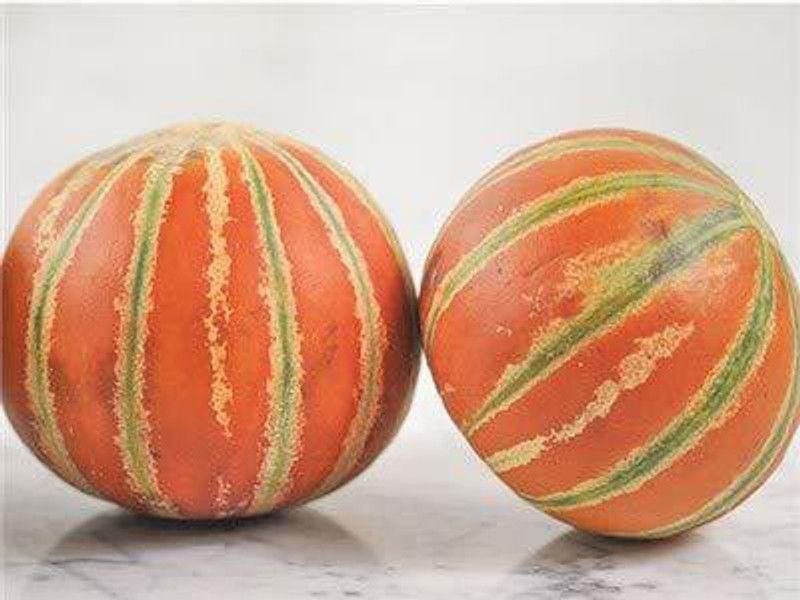 JRYU Muskmelon, kharbuja Seed  (25 per packet)
