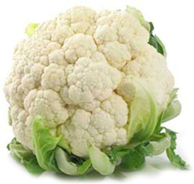 PRADHAM SEEDS CAULIFLOWER AGNI Seed  (10 g)