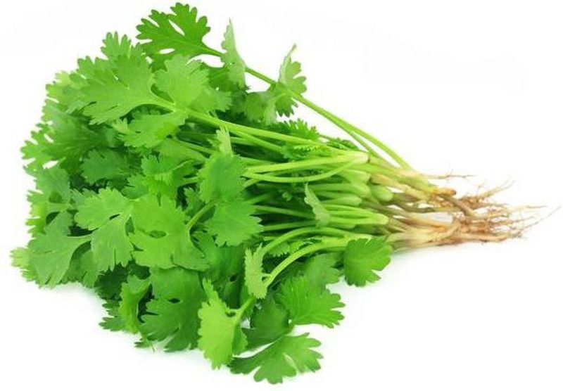 Paudha Coriander Seed  (120 per packet)