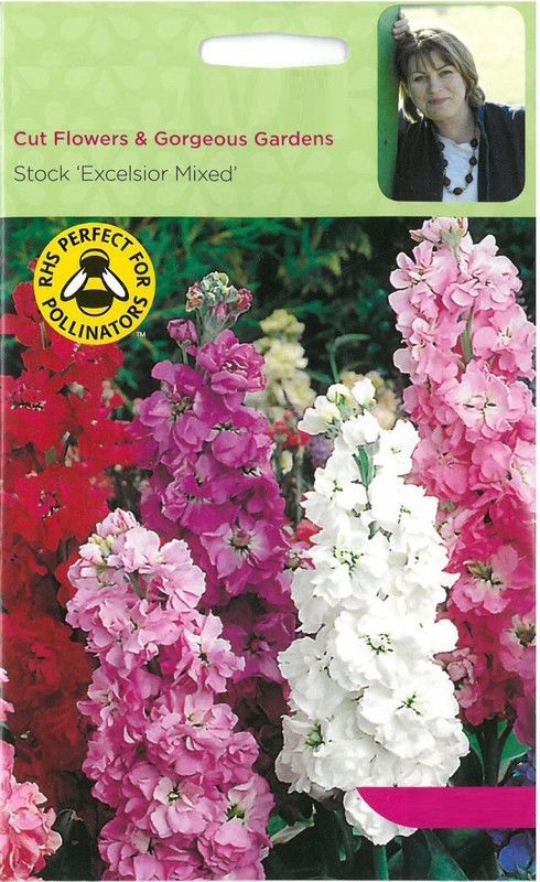 VibeX ® PUAS-2-F1 Hybrid Stock (Matthiola Incana Ten Week White) Seed  (10 per packet)