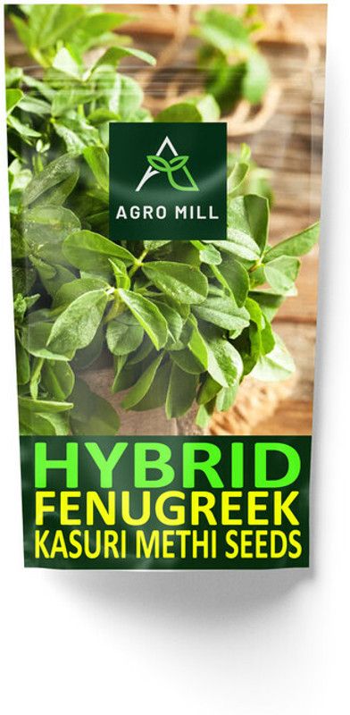 AGRO MILL HYBRID F1 PREMIUM QUALITY KNOL KHOL/GANTH GAATH GOBHI FOR KITCHEN GARDEN Seed  (100 per packet)