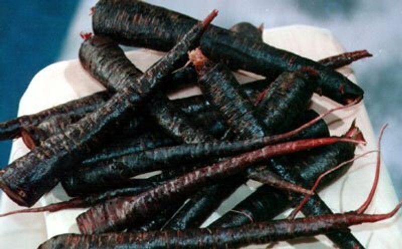 PMB Organic black carrot Seed  (23 per packet)