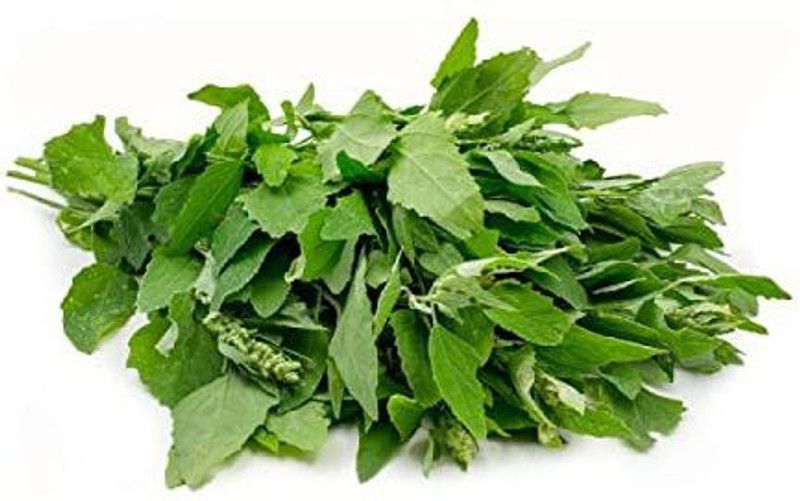 Aywal Bathua (Lamb's quarter) Vegetable Seed  (225 per packet)