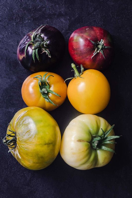 WILLVINE XLR-1094 Cherry Tomato Mix Seeds Colours Blend Seed  (200 per packet)