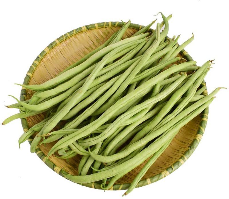CYBEXIS Bush Bean Seeds-100 Seeds Seed  (100 per packet)