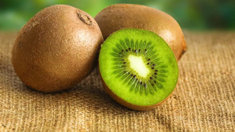 XOLDA Kiwi fruit Seed  (60 per packet)