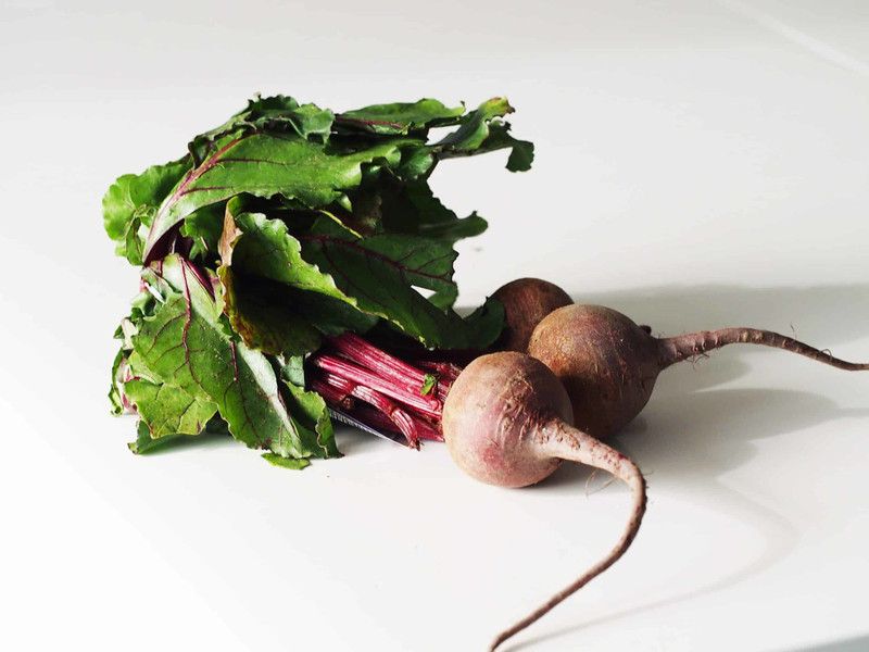 XOLDA Beetroot plant Seed  (45 per packet)