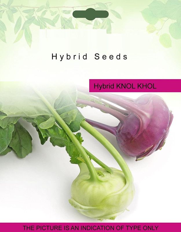 Biosnyg Knol Khol Vegetable Seeds 1000 Seeds Seed  (1000 per packet)