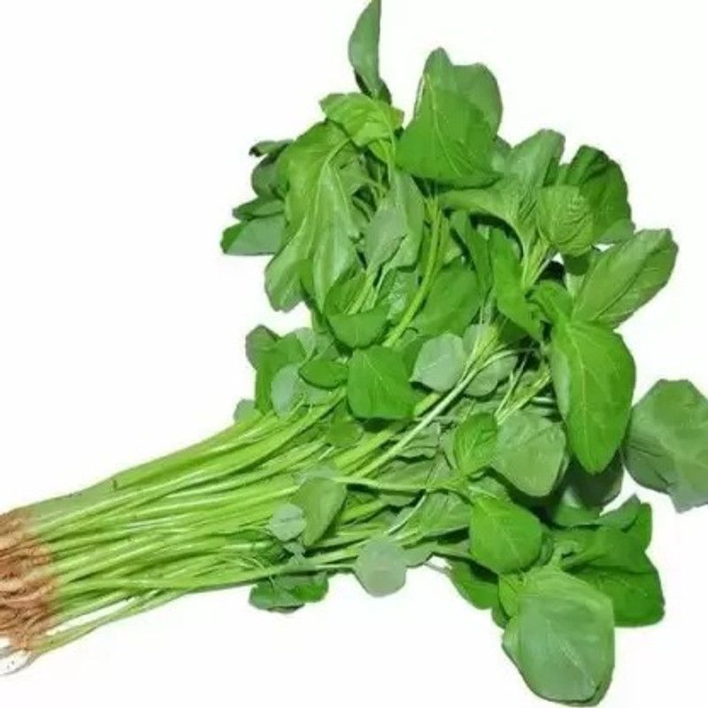 Aro Spinach, Palak Seed  (180 per packet)