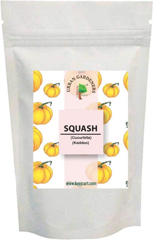 urban Gardeners Kaddu Seeds Seed  (100 per packet)