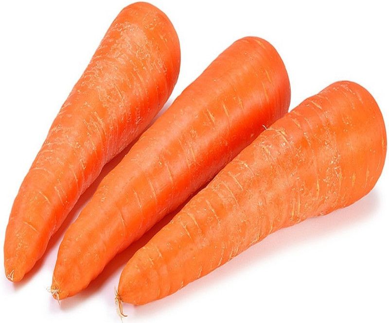 GROUNDOXY CARROT (GAJJAR) SEED CT80 SUPERIOR QUALITY CARROT SEED FOR YOUR HOME GARDENING 100% FERTILIZATION ORGANIC F1 VEGETABLE SEED PRODUCER CHOICE 300 SEEDS PER PACK Seed  (300 per packet)