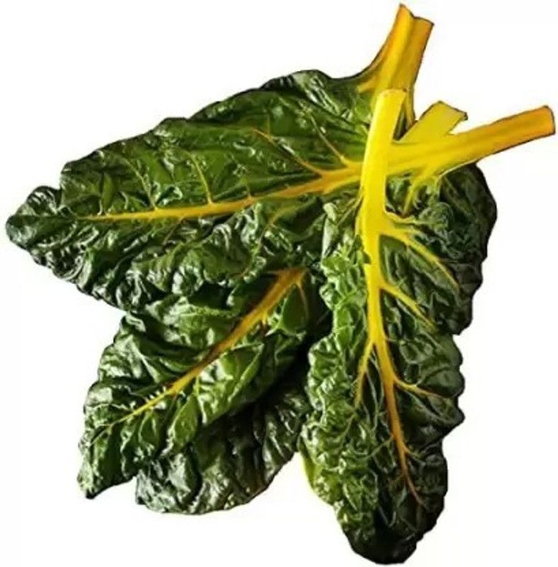 MAA Swiss Chard, Chard Seed  (46 per packet)