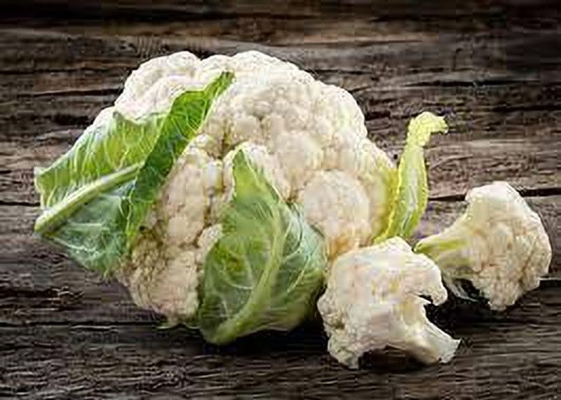 XOLDA Organic Cauli flower Seed  (1 per packet)