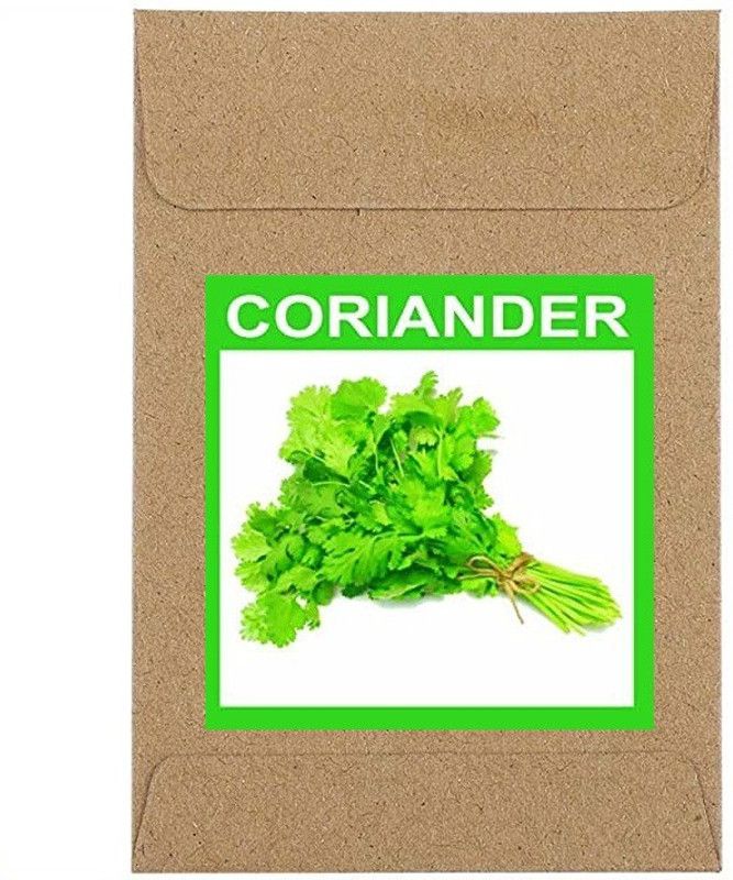 Qualtivate ® Guarenteed Germination Coriander Seeds(500 Seeds) Seed  (500 per packet)
