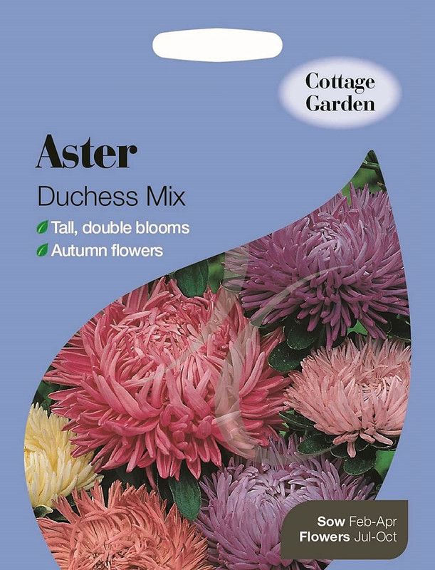 CYBEXIS Aster Duchess Mix Seed  (50 per packet)