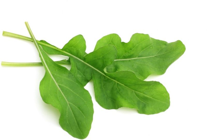 XOLDA Organic rocket herb Seed  (37 per packet)