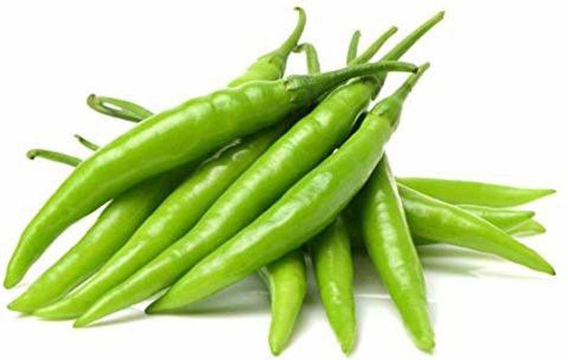 KANAYA Chilli Seeds | Mirchi Ke Beej Chilli F1 Hybrid Vegetable Seed  (150 per packet)