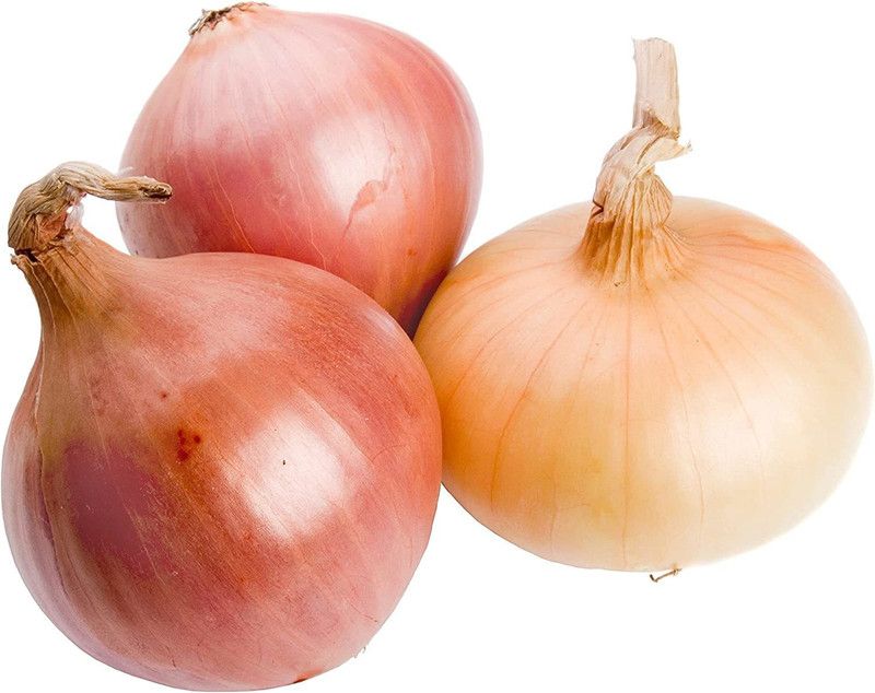 WILLVINE GBPUT-741 Texas Early Grano Onion Seed Seed  (1000 per packet)