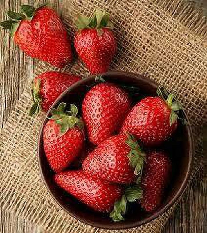 XOLDAA F1 best quality hybrid strawberry Seed  (85 per packet)