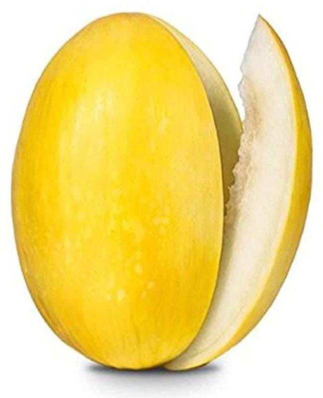JRYU Kharbuja Seed  (10 per packet)