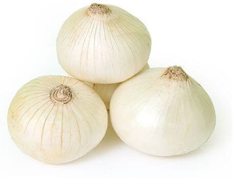 Paudha White Onion Seed  (16 per packet)