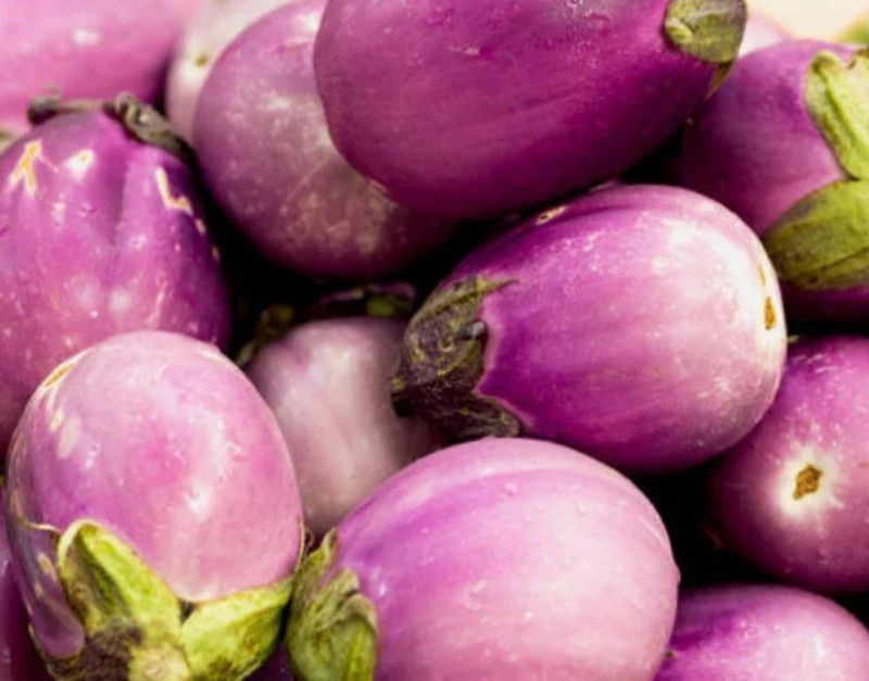 UGRA Rosa Bianca Eggplant Vegetable Seed  (1500 per packet)