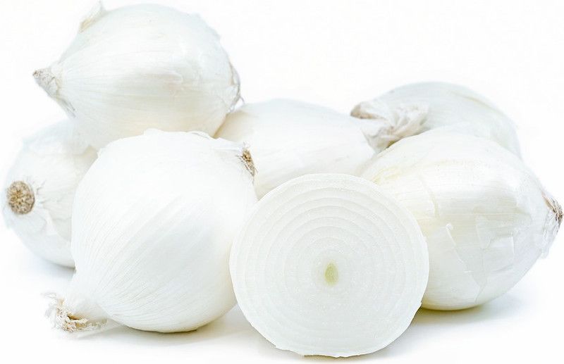 Mozette Onion White plant Seed  (22 per packet)