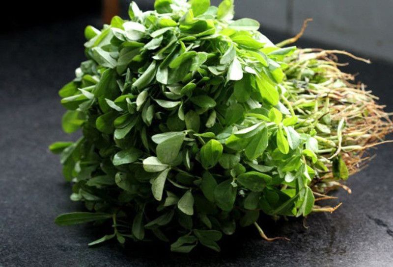 R-DRoz Seeds Methi (Fenugreek) Best Quality Seeds - Pack of 200 Premium Seeds Seed  (200 per packet)