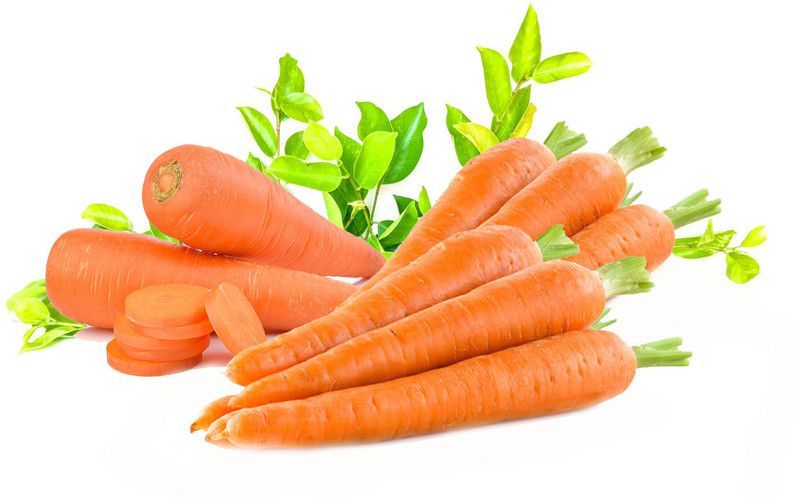 Mozette Organic carrot Seed  (24 per packet)