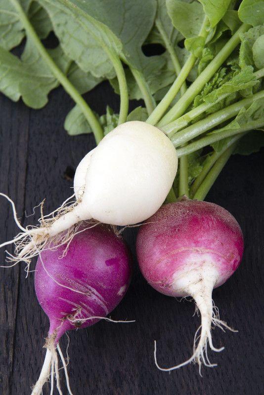 Paudha Radish Seed  (75 per packet)