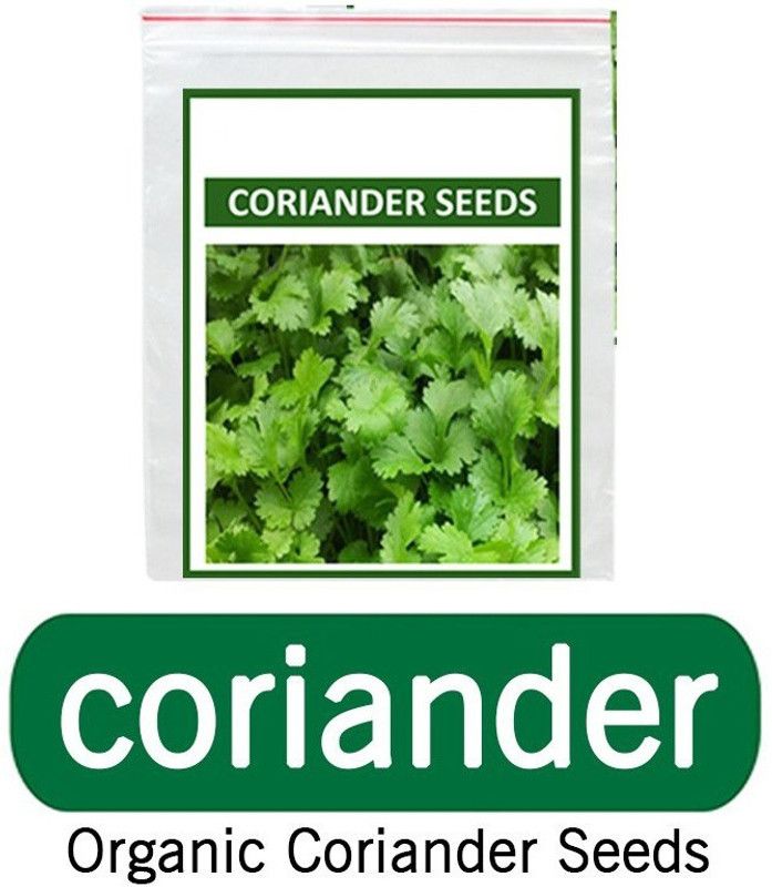 WILLVINE Organic Vegetable Seeds - Coriander Seed  (1000 per packet)