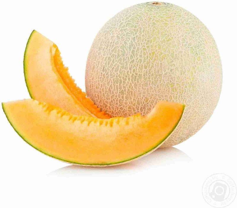 XOLDA MuskMelon Hybrid Seed  (55 per packet)