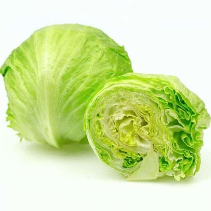XOLDA Organic lettuce ice burg Seed  (21 per packet)