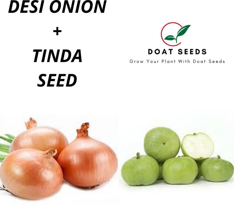 Doat Desi Onion, Tinda Seed  (100 per packet)