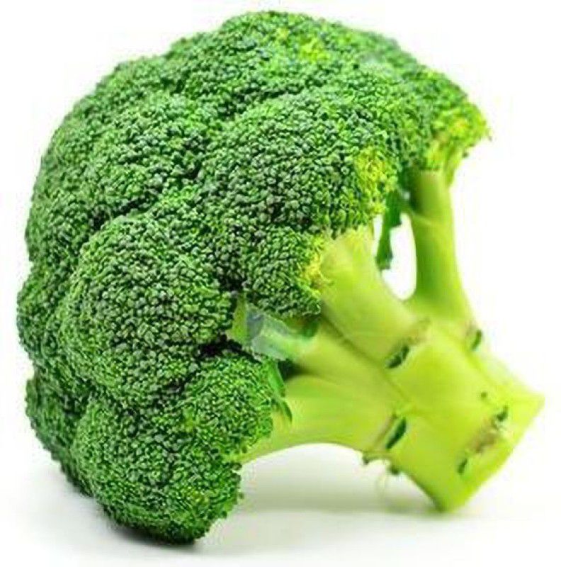 gardenupp Broccoli Seed  (260 per packet)