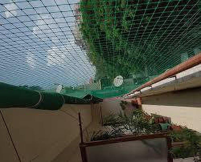 Amz Sports Nets Pigeon Net for Balcony (Protection net) (Pigeon)(Monkey) GREEN(10FT X 100FT) Insect Net