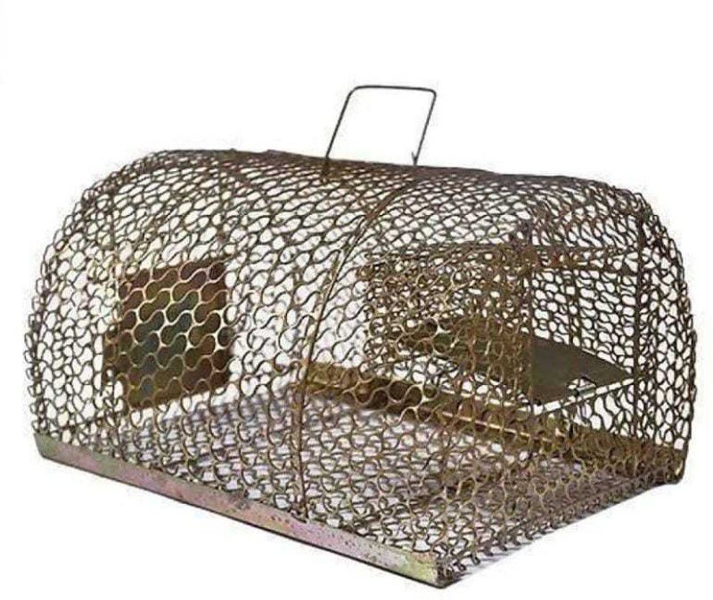 Goods collection BEST QUALITY big size Iron Trap/Cage for Catching Rat/Mouse/Rodent/Chipmunk/Squirrels, Humane(No Kill), Big Size & Durable Live Trap Live Trap