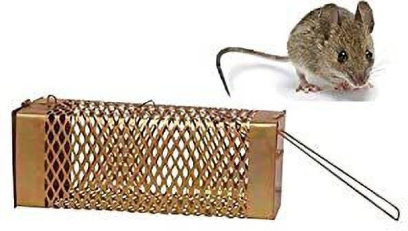 Samba Rat/Mouse/Rodent Trap Cage Rustic Copper Live Trap