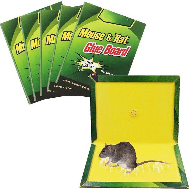 Red Champion 5 Set Mouse Trap Non-Toxic Glue Pad Safe for Pets and Children (5 Pack) Live Trap