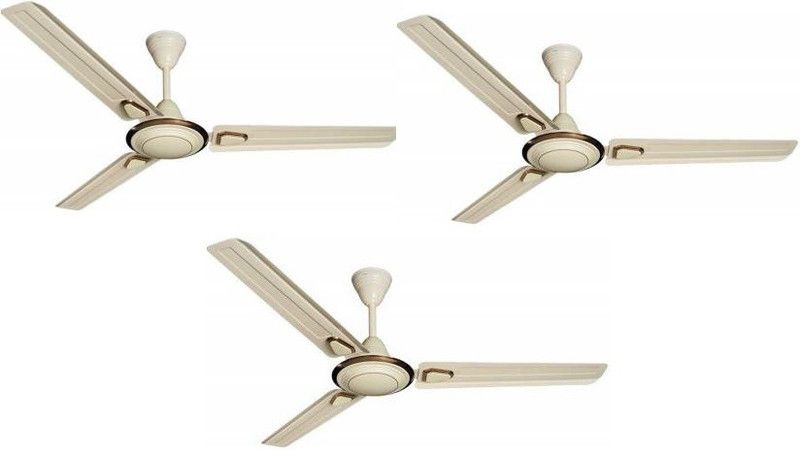Crompton SuperBriz Deco Ivory PACK OF 3 900 mm 3 Blade Ceiling Fan  (Ivory, Pack of 3)