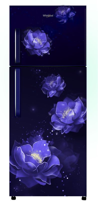 Whirlpool 245 L Frost Free Double Door 2 Star Refrigerator  (Sapphire Abyss, NEO 258H ROY Sapphire Abyss (2S)-N)