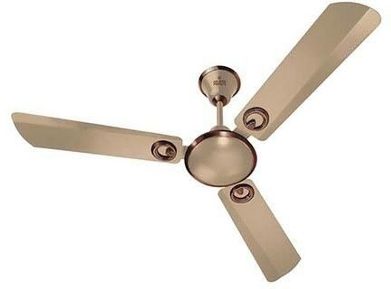 Polycab ELANZA 1200MM BIRKEN GOLD 1200 mm 3 Blade Ceiling Fan  (BIRKEN GOLD, Pack of 1)