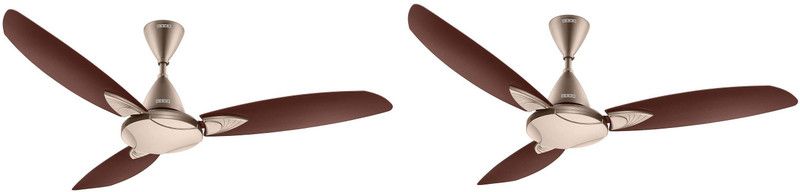 USHA Bloom Primrose pack of 2 1250 mm 3 Blade Ceiling Fan  (sparkle golden brown, Pack of 2)