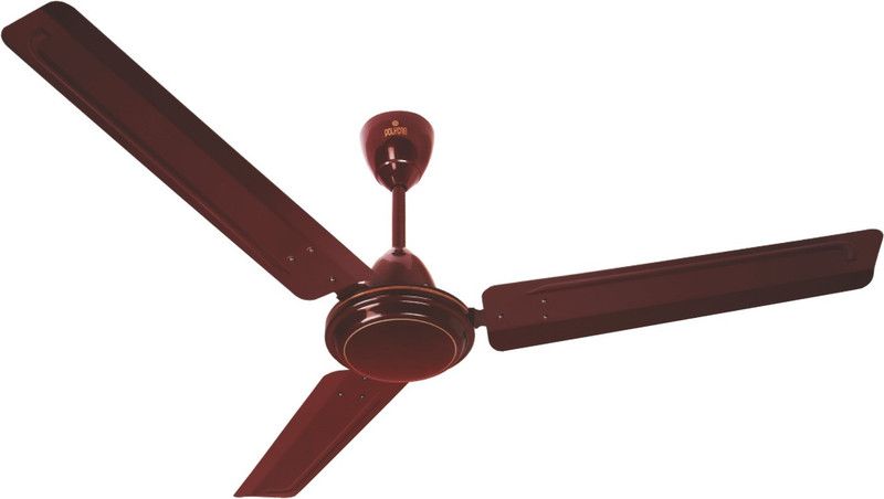 Polycab Viva 600 mm 3 Blade Ceiling Fan  (Brown, Pack of 1)