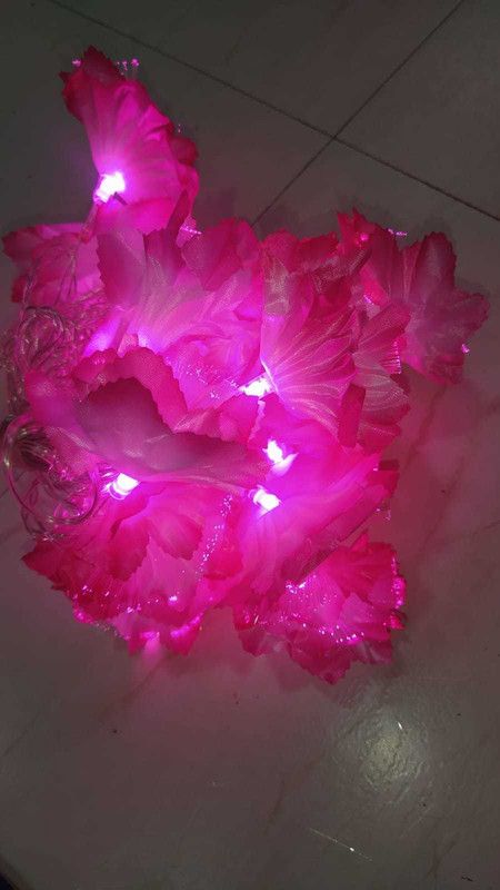 basket47 20 LEDs 5 m Pink Rice Lights  (Pack of 1)