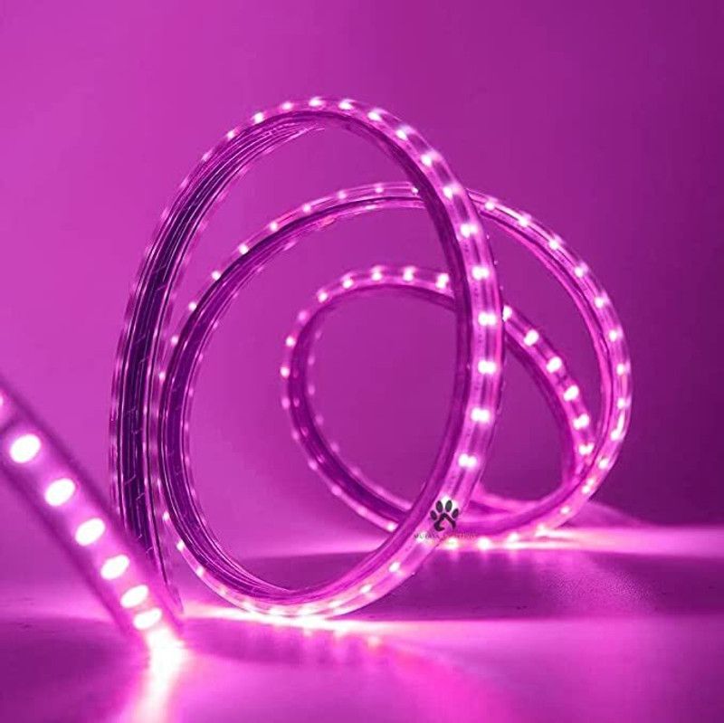 40 inch Pink Rice Lights  (Pack of 1)