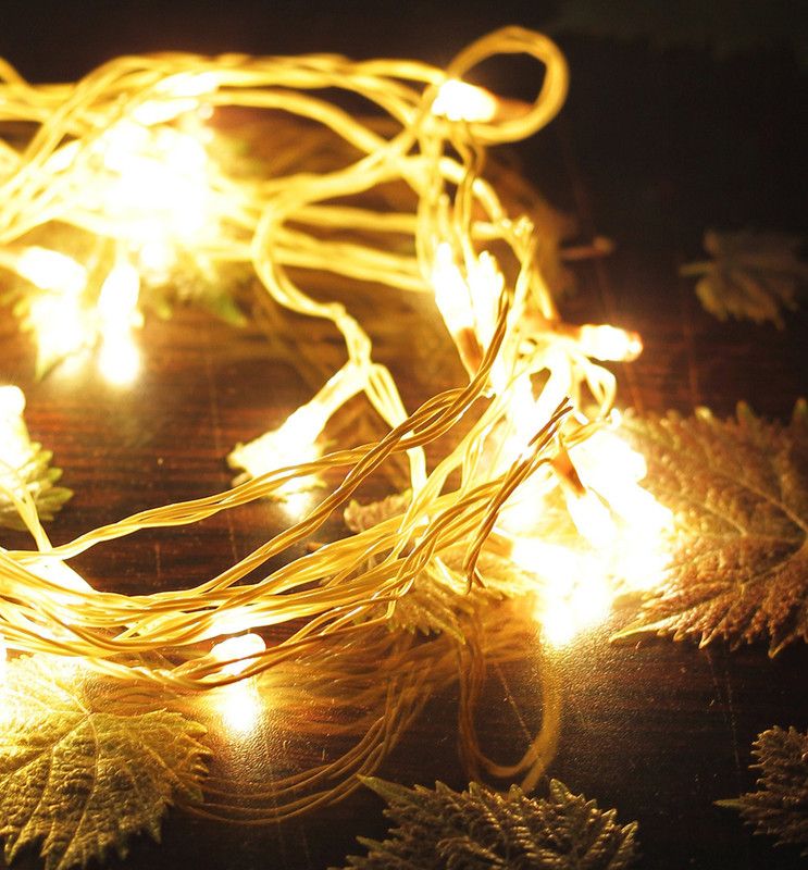 Home Delight 30 LEDs 3.3 m Gold Rice Lights  (Pack of 5)
