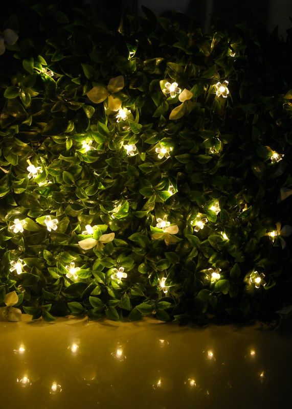Concept 18 LEDs 5.03 m White Rice Lights  (Pack of 1)