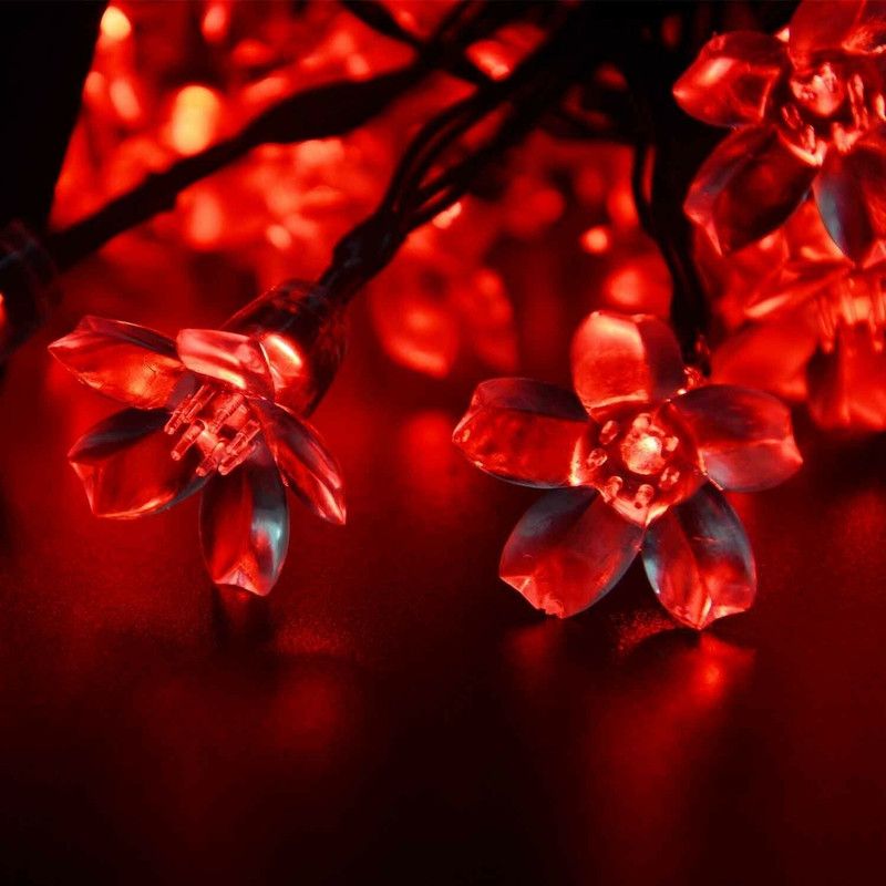 Infiprises 36 LEDs 8 m Red Rice Lights  (Pack of 1)