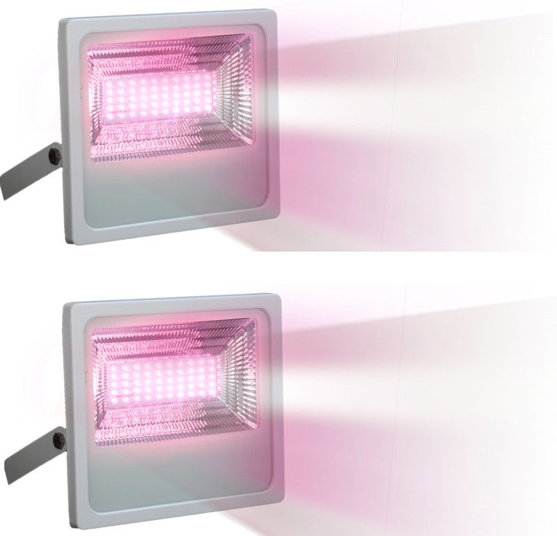 Happy Selling 50 Watt Pink Flood Light 2 Flood Light Outdoor Lamp  (Pink)